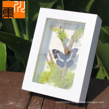 Hot sale new design 6x8 Wholesale Custom wooden picture frame preserved fresh Flower Shadow Box For Gift Packing